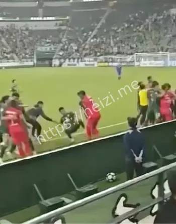 亚冠球迷投掷水瓶分析