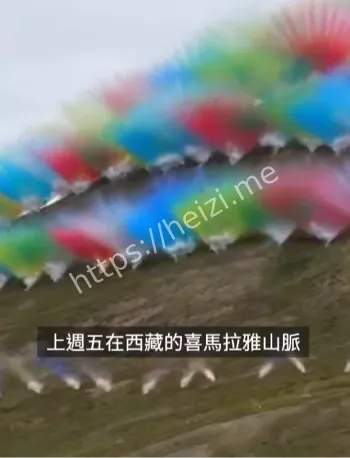蔡国强