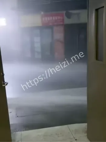 桦加沙