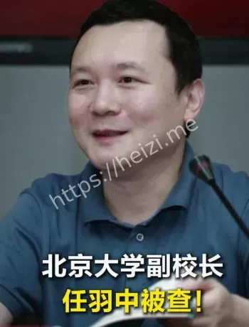 任羽中主动投案时间线