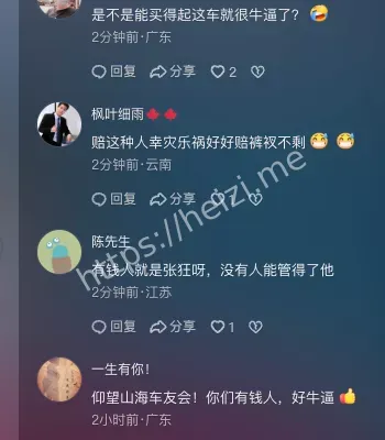 豪车司机任性酿祸