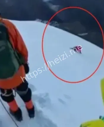 男子峰顶滑落视频