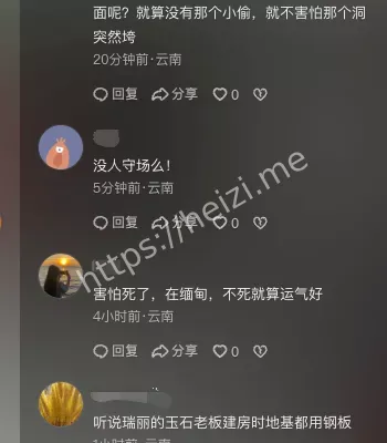 手法专业