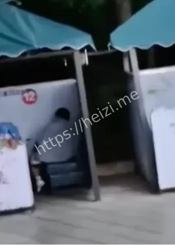 校园追求刺激恋爱