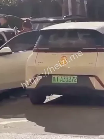 车里激情