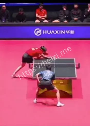 王楚钦