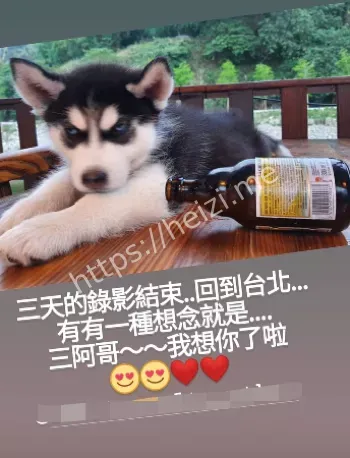 江祖平性侵案