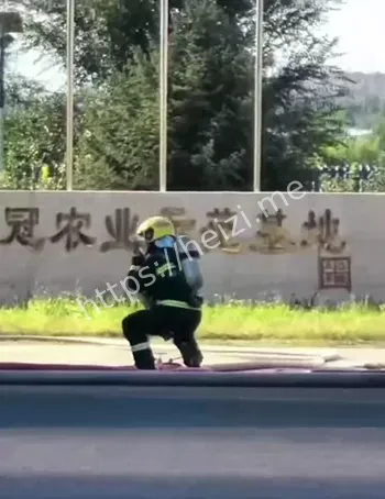 农业示范基地