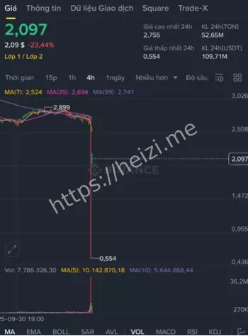 100%关税