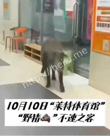辽宁抚顺