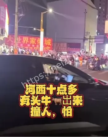 广西梧州藤县