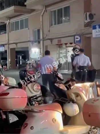 警方击毙疯牛