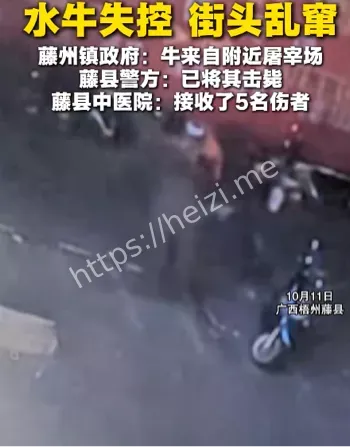 广西梧州