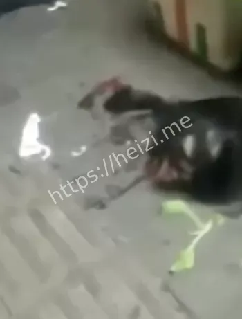 杀猪刀头部分离现场