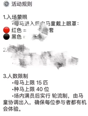 母马专场