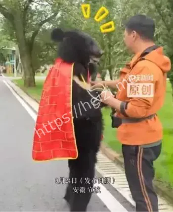 黑熊直立步态