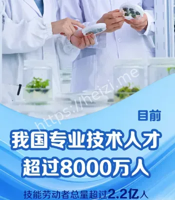 中国专业技术人才