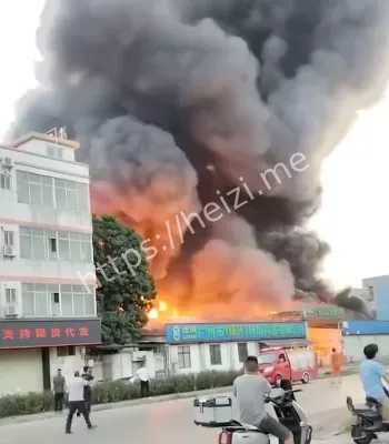 毗邻皮具厂惨遭波及