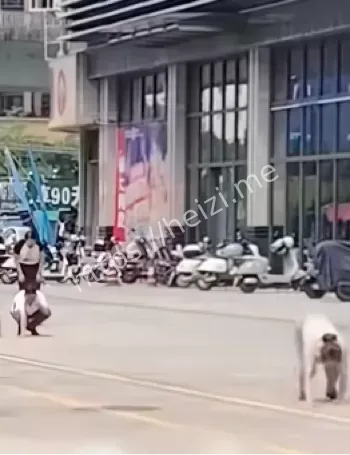 路人惊呼街头爬行