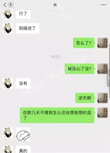 四川电子学院小三丑闻