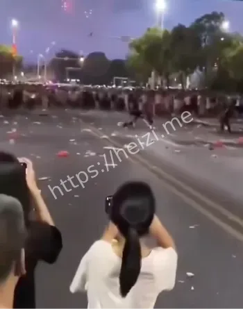 大哥折扇乌龙