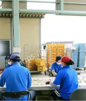 日本定居生活辛苦真相