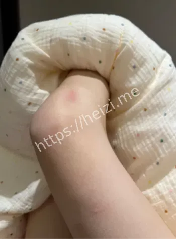 小小绘推特神颜网红