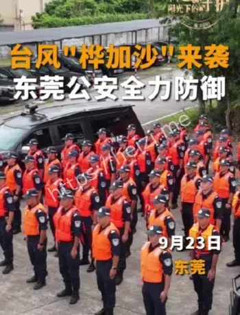 桦加沙广东一级响应