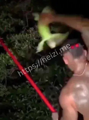 猛人抓变色龙视频