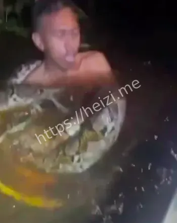 佛罗里达环保英雄故事