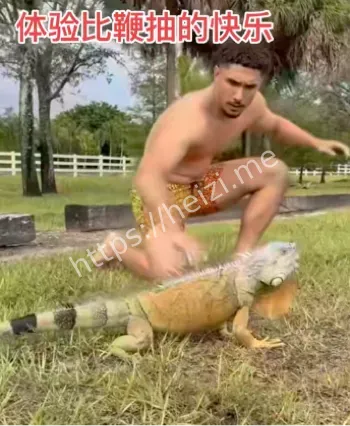 池塘捕蟒蛇惊险瞬间