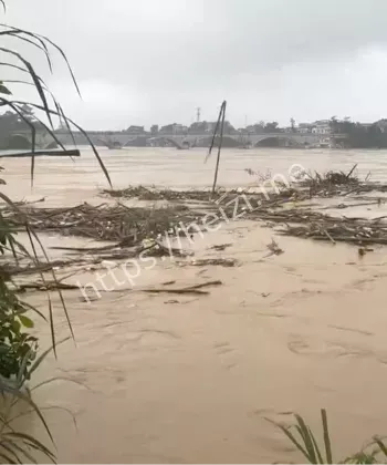 麦德姆台风广西影响