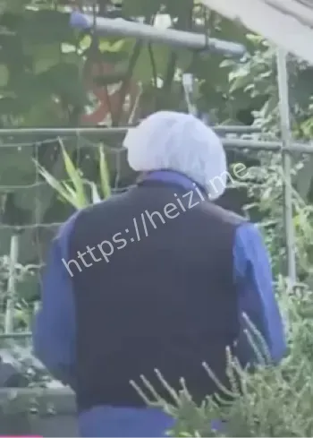 日本母亲冰箱藏尸20年