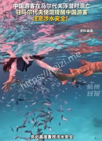 马尔代夫浮潜溺亡