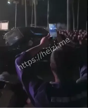 国企非法砍伐农民抗争