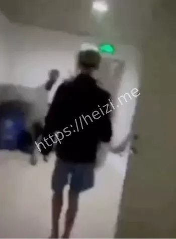 国服典韦砍人小区走廊全过程