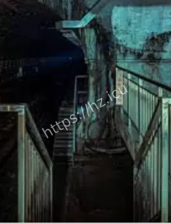 乘客凭空消失隧道案