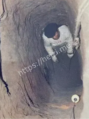 地窖叠叠乐骨头