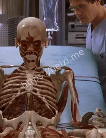 山东透明人科学猜想