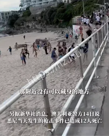 邦迪海滩英雄夺枪瞬间