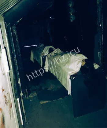 云南游客惊魂事件