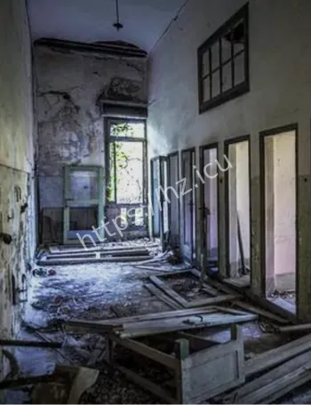 意大利波韦利亚岛