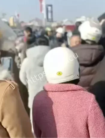 新化女子跳桥获救