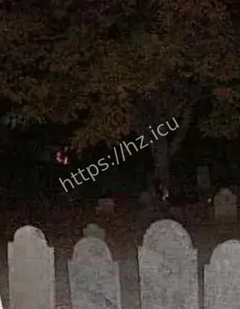 三人夜探古墓