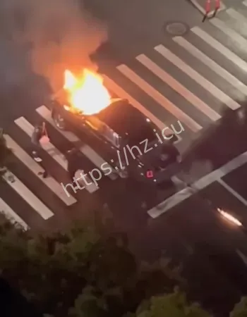 车主冒险灭火