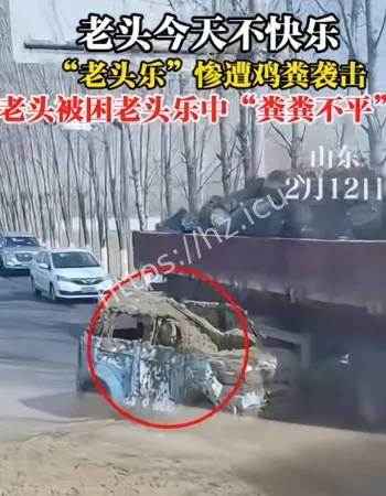 山东济宁老头乐