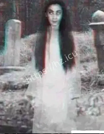 装修队半夜集体崩溃