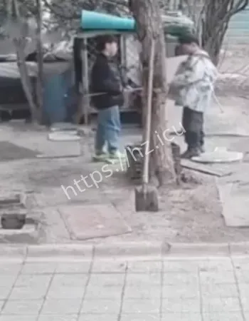 视频引全网公愤