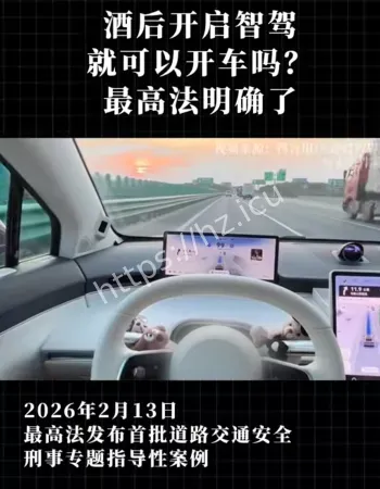 醉酒后用智驾开车