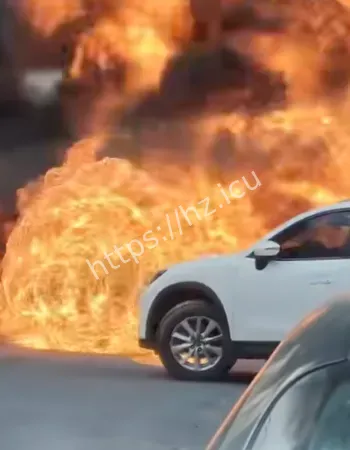 却鬼使神差掉头